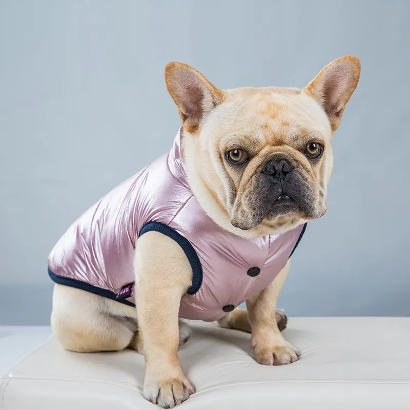 कस्टम मेड फैशन डिजाइनर फ्रेंचिया छोटा कुत्ता पालतू शीतकालीन पफर जैकेट कोट कपड़े पिल्ला के लिए लक्जरी