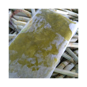 Bâtonnets de canne à sucre congelés IQF biologiques pour jus et cocktails emballage en vrac - Product Image 4