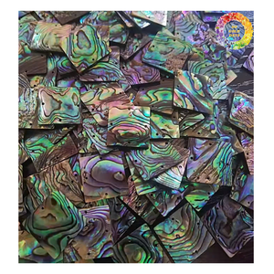 Concha de abulón natural redonda doble moneda plana rebanada cuentas de piedras preciosas colgante pequeño para la fabricación de joyas 10mm 14mm 15mm 18mm 20mm - Product Image 2