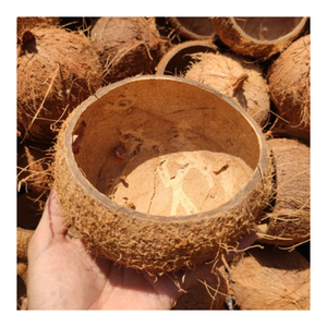 Cáscara cruda de coco natural Ideal para decoraciones del hogar, carbón orgánico, macetas hechas a mano, accesorios ecológicos, proyectos artísticos de bricolaje - Product Image 4