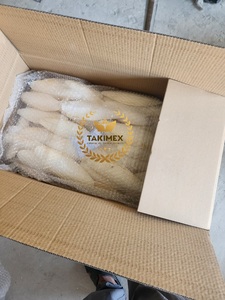 Hueso de sepia seca natural de 20cm de altura, hueso de sepia seco, muy alto calcio para tus loros, tortugas fabricadas en Vietnam - Product Image 3