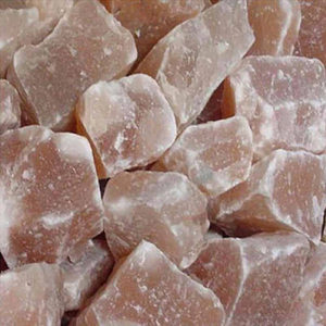 2023-24 Le sel Animal Pak est une multivitamine complète avec minéraux acides aminés antioxydants soutien du système immunitaire soutien du foie - Product Image 5