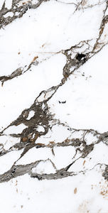 Proveedores indios La fabricación de baldosas impresas de cerámica más barata de China en India para villas grandes de lujo. - Product Image 4