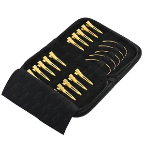 Klassisches Make-up Gold Elegantes Design Metall Friseur Abschnitt Haars pangen & C Curved Needles Kit mit schwarzem Gehäuse