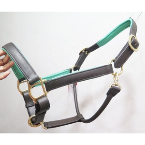 Haute qualité trois points Style cheval équestre marque cuir licou accessoire en laiton massif chez Affordab - Product Image 4