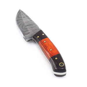 Hot Selling Premium Quality Damascus Steel Folding Hunting <b>Knife</b> Latest Design Multicolor <b>Bone</b> Wood <b>Handle</b> Outdoor Folding OEM - Product Image 2