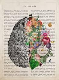 Arte de Pared en Lienzo con Diseño Floral de Anatomía Cerebral Vintage, Pintura Abstracta Estilo Página de Libro, Decoración Moderna para Oficina y Hogar - Product Image 5