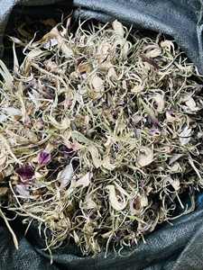 Fournisseur en gros de fleurs d'artichaut séchées du Vietnam pour le reconditionnement de marques de thé aux herbes en marque privée, ingrédients tropicaux authentiques - Product Image 2