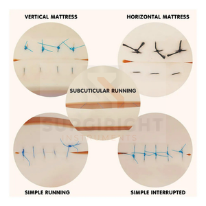 Kit de entrenamiento de inyección y práctica de sutura multifuncional recién llegado para estudiantes de medicina por instrumentos Surgiright - Product Image 4