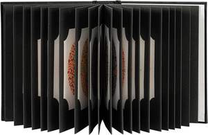 LIBROS DE TABLA DE PRUEBA ISHIHARA PARA LA DEFICIENCIA DE COLOR-38 PLACAS 2018 VISIÓN MÁS RECIENTE... - Product Image 3