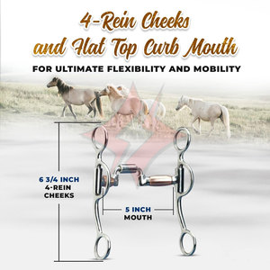 Corrección de acero inoxidable de vástago corto, broca de caballo, calzones, entrenamiento de caminata occidental, broca equina para caballos, caballo de calidad superior - Product Image 5