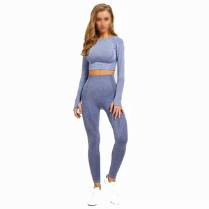 Ensemble de costumes de yoga sans couture de qualité supérieure ensemble de yoga pour femmes meilleur ensemble de yoga pour femmes vêtements en gros - Product Image 2