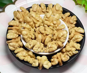 Luxury <b>Walnuts</b> – <b>Shelled</b> / Unshelled – Bulk Supplier - Product Image 3