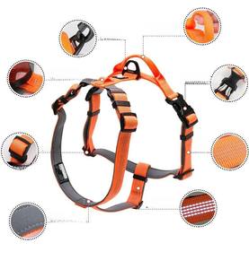 Collier pour chien de type gilet avec design imprimé classique et moderne en polyester et nylon pour chiens à poils longs en provenance du Vietnam - Product Image 3