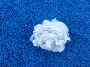 6Dx32mm HS-Fibra de poliéster siliconada no conjugada hueca - Product Image 1