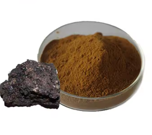 Venda quente <span class=keywords><strong>Shilajit</strong></span> Extrato 40% Fúlvico Ácido <span class=keywords><strong>Shilajit</strong></span> Extrato Em Pó - Product Image 2