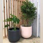 ชุดกระถางต้นไม้กลางแจ้งและในร่มขนาดใหญ่ดีไซน์สร้างสรรค์น้ำหนักเบาและทนทาน OEM จากเวียดนาม - Product Image 5