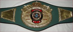 Ceintures de championnat de boxe Trophées Médailles et récompenses le symbole ultime de la victoire et de l'excellence Ceintures de championnat - Product Image 6