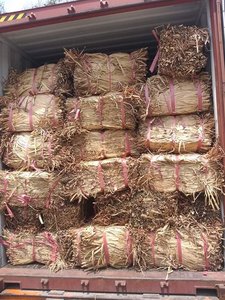 Hyacinthe d'eau séchée en gros, matière première naturelle pour rembourrage, avec prix compétitif 99GD - Product Image 3