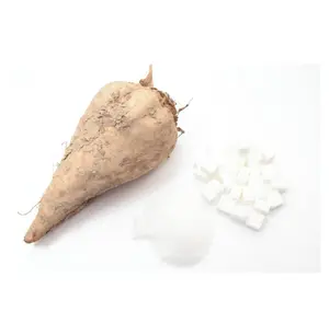Açúcar de Beterraba Refinada - Produto Comestível (Melhor Preço 100% Puro de Alta Qualidade)