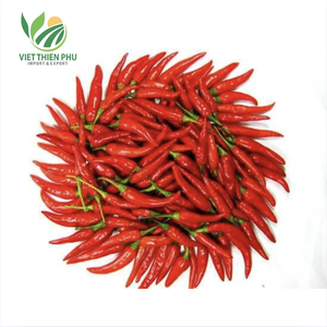 Viet Thien Phu-Chile rojo fresco Vibrante, picante y cultivado naturalmente en campos fértiles de Vietnam - Product Image 5