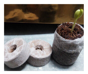 Granulés de tourbe de coco de qualité supérieure pour le jardinage écologique, origine Vietnam - Product Image 1