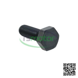 Pieza de Repuesto de Motor de Calidad, Piezas de Fijación de Alta Precisión, Perno Hexagonal MWM RS-01144492 - Product Image 5