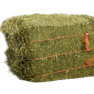 2024 Top vente naturel bétail luzerne foin ensilage aliments pour animaux pour poisson chien cheval chèvre cochon prix de gros pas cher - Product Image 2