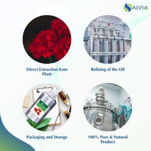 Aceite esencial de clavel puro y natural 100% al por mayor con embalaje personalizado a bajo precio - Product Image 4