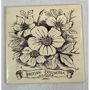 Columbia Británica Canadá 6x6 Cerámica decorativa Arte de la pared Azulejo Cocina Backsplash - Product Image 1