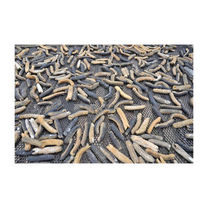 Concombre de mer frais séché au soleil Offre Spéciale 20000kg Meilleur prix! - Product Image 1