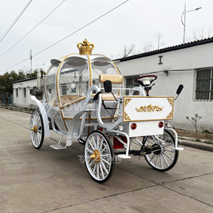 Carruaje Real Eléctrico con 4 Ruedas para Visitas Turísticas, Bodas y Recorridos en Calabaza, Capacidad para 4-6 Personas, Color Personalizado - Product Image 2