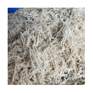 สลัดซีมอสที่มีรสชาติและปรุงรสแบบไอริชแห้ง Eucheuma cottonii แบบพรีเมี่ยมขนาดใหญ่ - Product Image 1