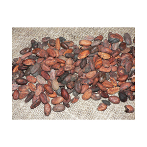 Meilleur fournisseur offre des fèves de cacao crues naturelles et des fèves de cacao séchées à un prix compétitif avec expédition immédiate dans le monde entier - Product Image 5