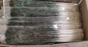 Venta al por mayor hermosos adornos ecológicos naturales de plumas de pavo real para la decoración - Product Image 2