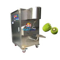 Fabrieksprijs Appel Sinaasappel Peer Schilmachine Automatische Industriële Fruitschiller Machine