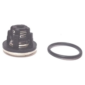 Kit Valvole Compatibile Os30D5 Rif. 448137 - Corpi Valvola di Alta Qualità - Product Image 1