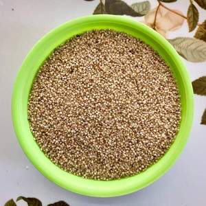 LITTLE <b>MILLET</b> NOODLES WITH TOP QUALITY BEST FOR BIRD FEEDING ENRICHED WITH HIGH PROTIEN PACKED AND PROCESSED FROM INDIA - Product Image 3