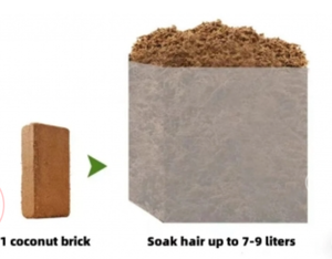 Bloque de Turba de Coco Hecho en Vietnam, 0.5 kg, Briquetas de Turba de Coco para Plantas - Product Image 2