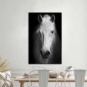 Impression élégante de cheval blanc : Art mural contemporain sur toile, encadré style galerie - Product Image 1