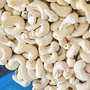 Mejor tarifa de anacardos Vietnam Ww180 Ww210 Ww240 Ww320 Fábrica de Santigo en Vietnam al por mayor exportada a Asia, UE, Medio Oriente - Product Image 1