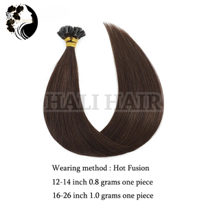 100g toutes les couleurs vietnamien Remy Extensions de cheveux Type U-Tip trame unique teint blanchiment & Permed kératine cheveux de kératine de haute qualité - Product Image 2