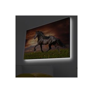 Cavallo in un campo ha portato la pittura murale