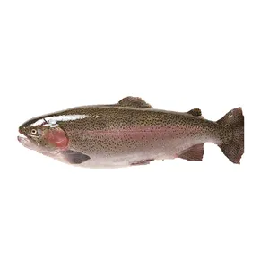 cheap salmon fish, cheap salmon fish Suppliers and Manufacturers at