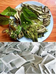 PURE CELASTRUS HINDSII/ALTA CALIDAD/ETIQUETA LIMPIA/BASADA EN PLANTAS - Product Image 3