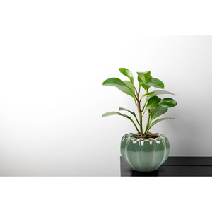 CPB2807PB - Jarrón Grande con Diseño Ondulado en Verde-Marrón - 6.6 W x 4.5 H - Product Image 3