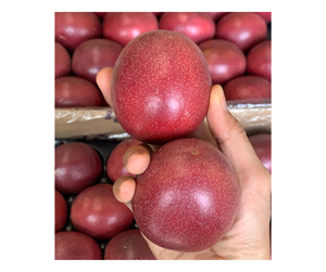Fruit de la Passion Frais de Haute Qualité Origine Vietnam - Fruit Naturel Entier pour l'Industrie des Boissons et la Restauration - Product Image 1