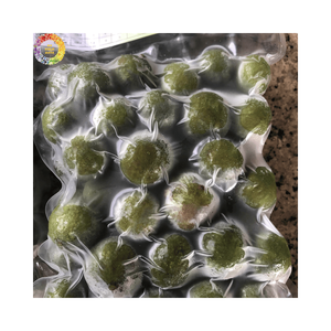 Dracontomelon vert naturel surgelé IQF de haute qualité, origine Vietnam, vente en gros pour l'exportation, ingrédients de qualité alimentaire, emballage en vrac - Product Image 3