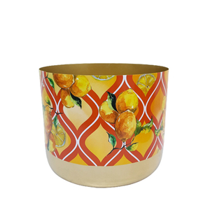 Diseño elegante, maceta de flores de Metal de hierro, acabado negro para el hogar y el jardín, macetas colgantes decorativas, macetas hechas a mano personalizadas - Product Image 2