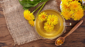 Bebida de Extracto de Hierbas de Dandelion en Yogur Herbal Aymira Eslina, en Botella, 20 Sobres - Product Image 4